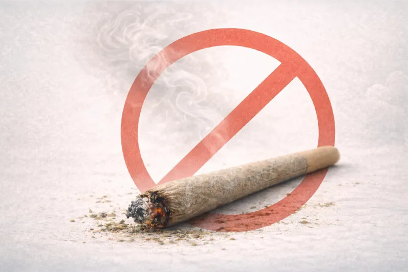 Sesión de deshabituación de cannabis con láser para acompañar el abandono del cannabis y recuperar energía y serenidad – PureLifeLaser